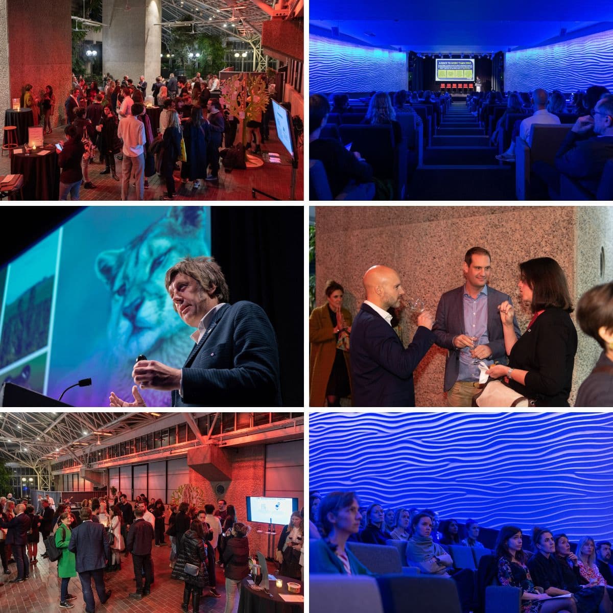 The Festival of Sustainability With Our Sister Brand Strata Tiles