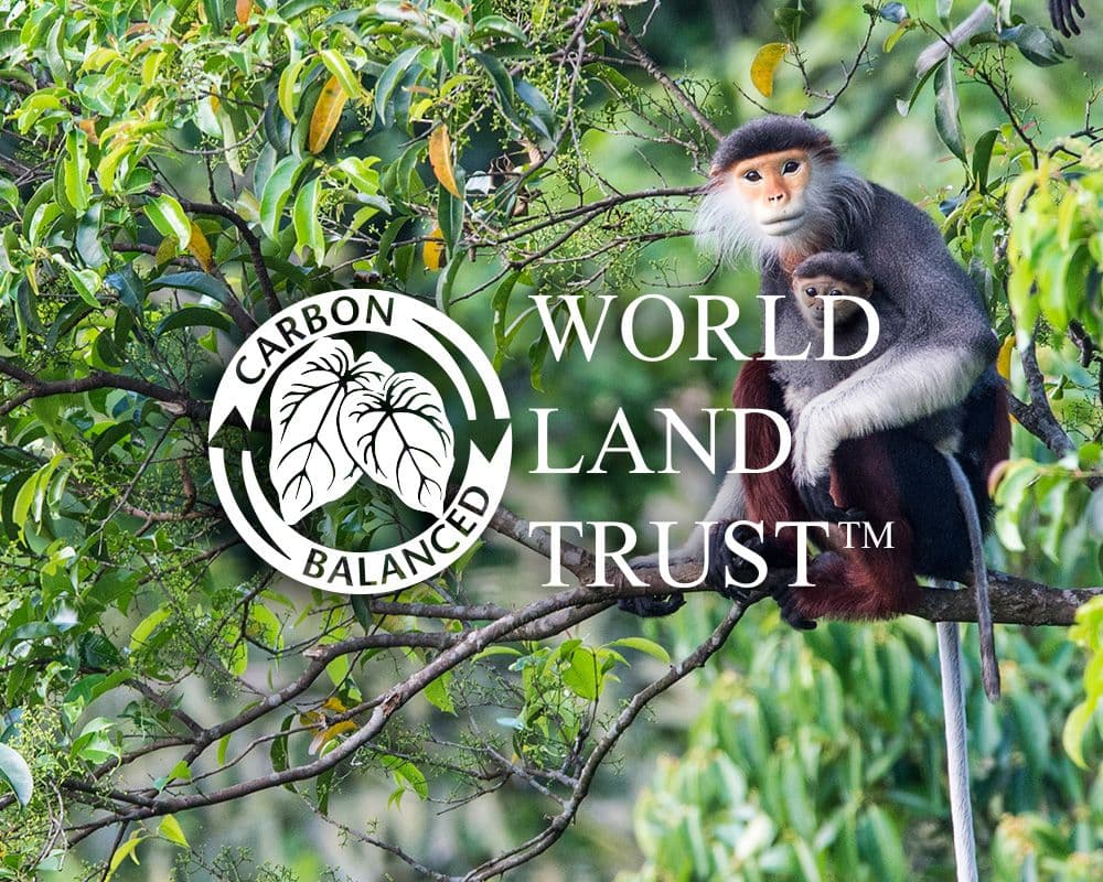 Parkside is proud to partner the World Land Trust to protect nearly 500,000 square metres of biodiverse habitat